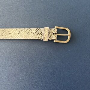 Lucky Brand Snakeskin Belt with Silver Buckle